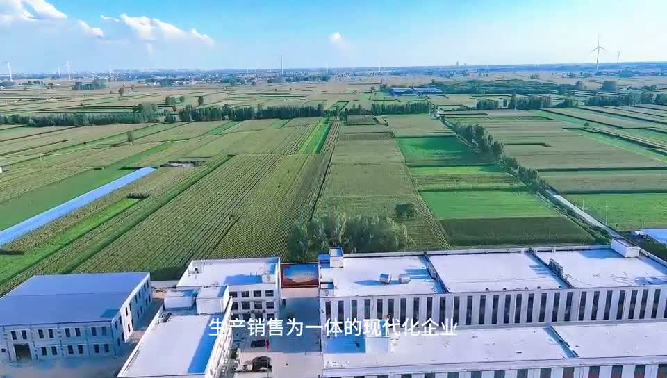 休闲零食OEM工厂稳定性指南